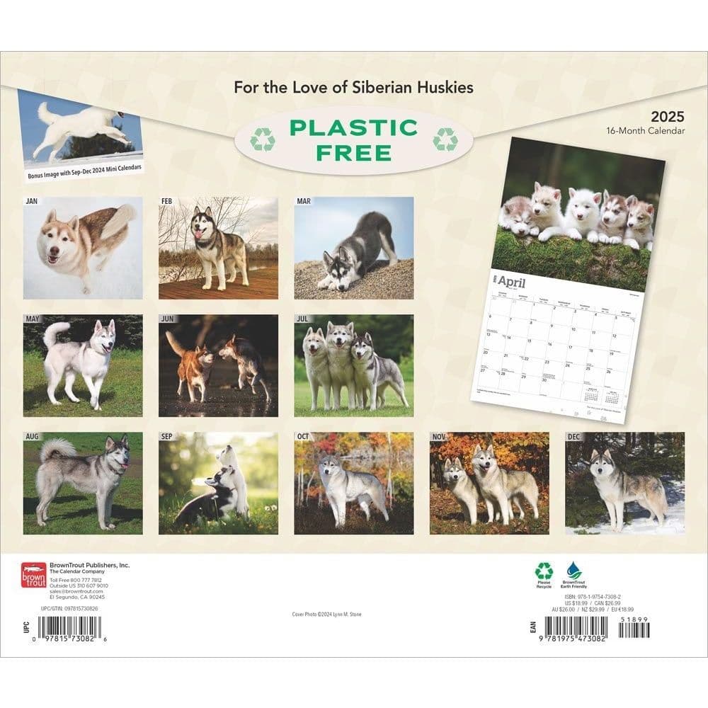 Siberian Huskies Deluxe 2025 Wall Calendar First Alternate Image