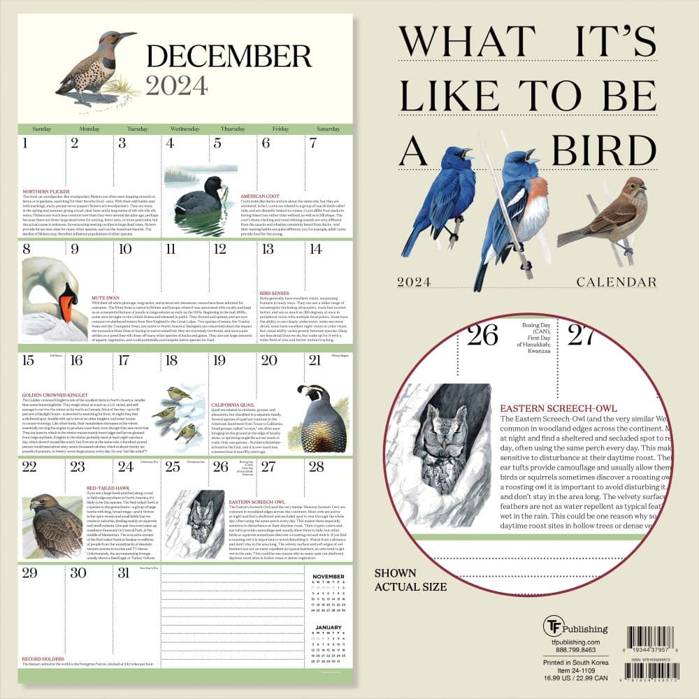 What Its Like To Be A Bird 2024 Wall Calendar First Alternate Image width="1000" height="1000"