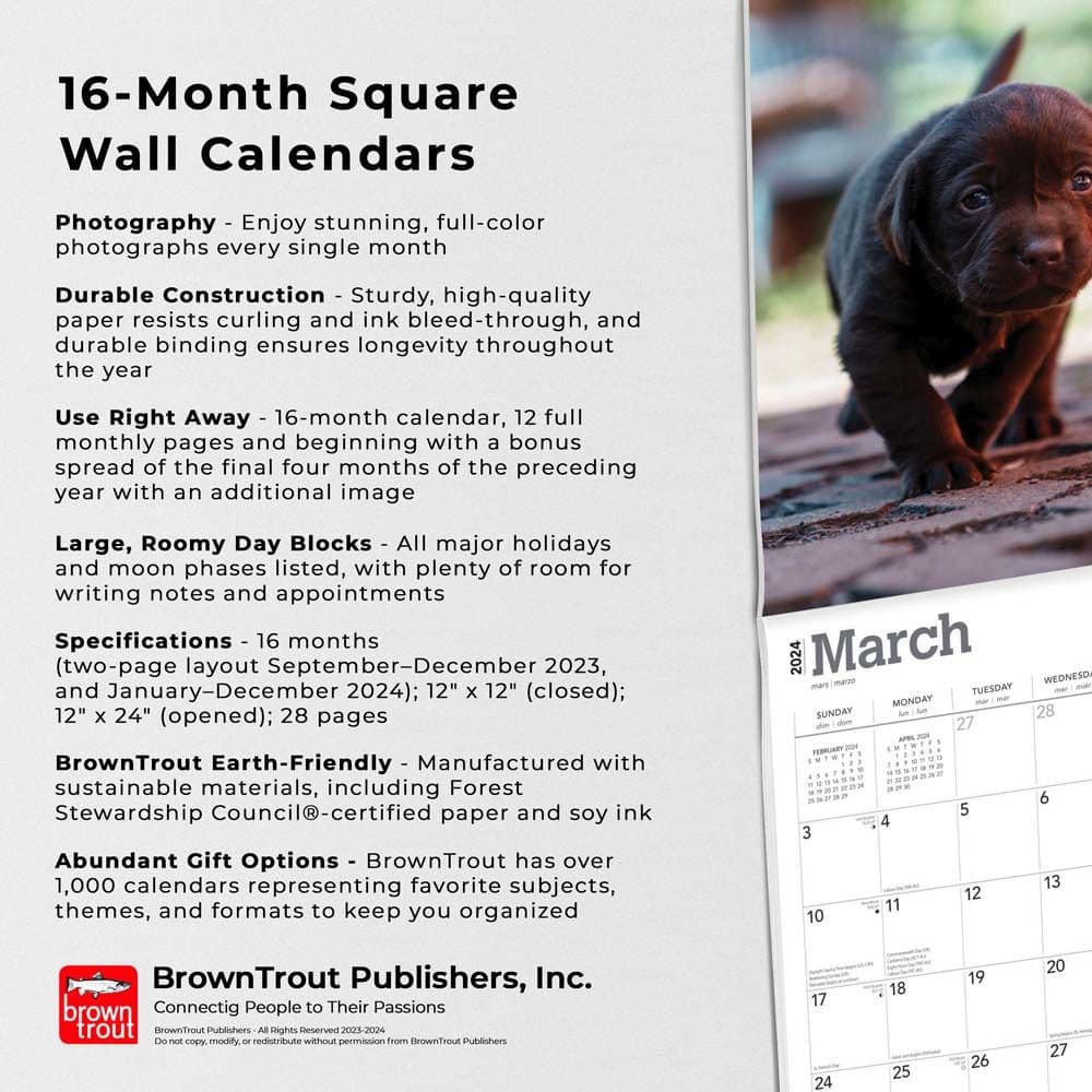 Chocolate Lab Retriever Puppies 2024 Wall Calendar Fourth Alternate Image width=&quot;1000&quot; height=&quot;1000&quot;
