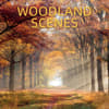 image Woodland 2026 Wall Calendar Main Image