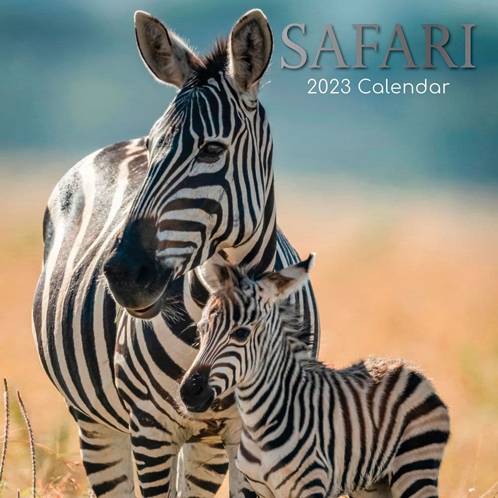 The Gifted Stationery Co Ltd Safari 2023 Wall Calendar