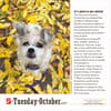 image 365 Dogs 2027 Page-A-Day Desk Calendar Fourth Alternate Image