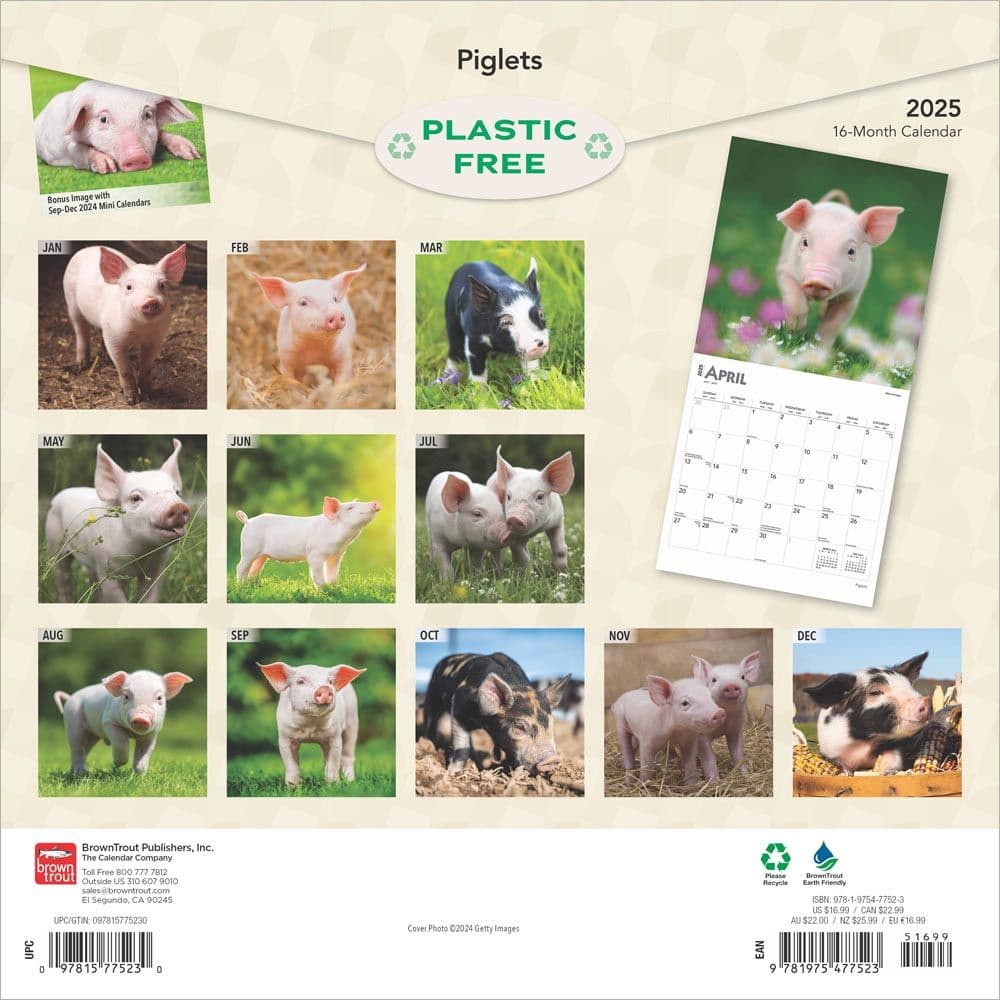 Piglets 2025 Wall Calendar First Alternate Image