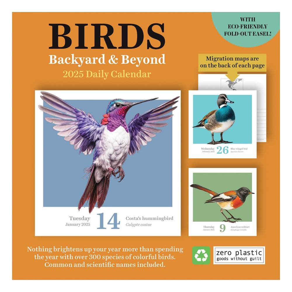 Birds Backyard And Beyond 2025 Desk Calendar First Alternate Image