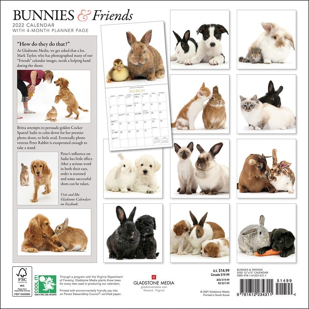 Bunnies And Friends 2022 Wall Calendar - Calendars.com