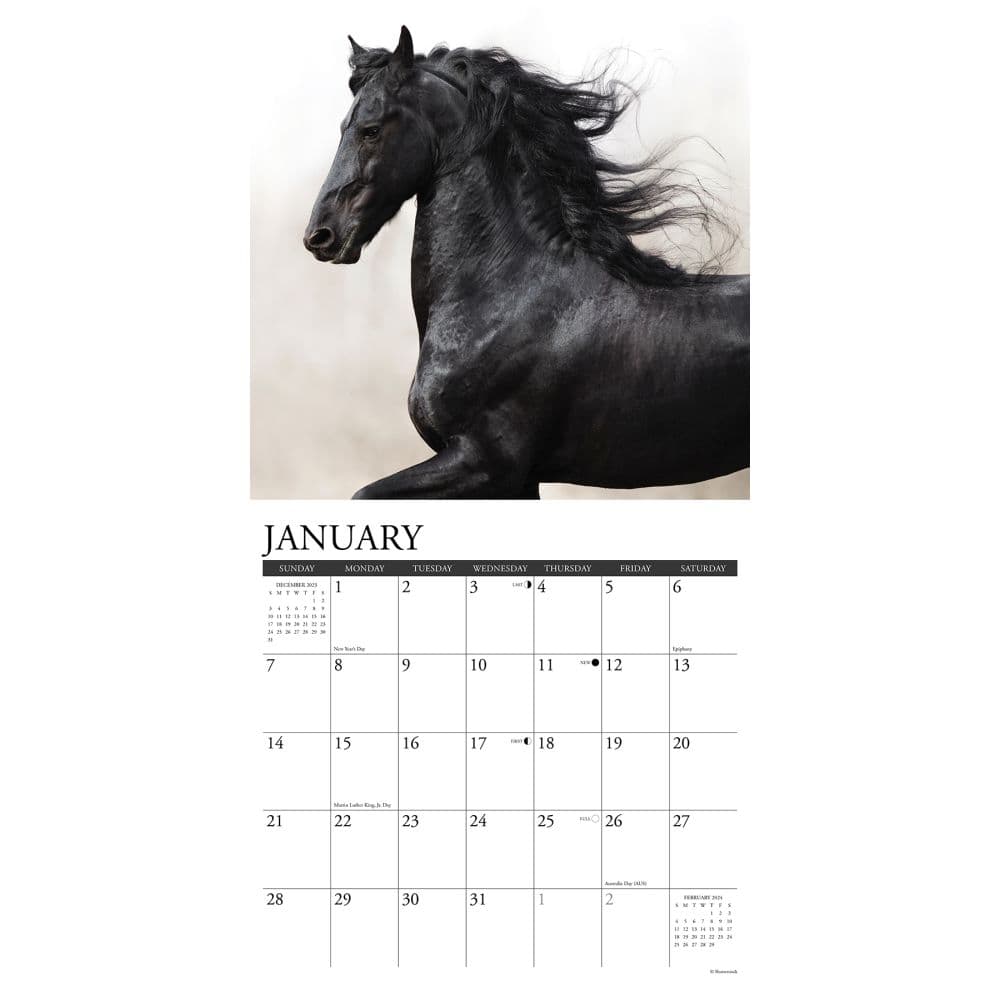 Horses Friesians 2024 Wall Calendar