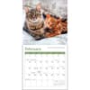 image Cats 2026 Mini Wall Calendar Second Alternate image