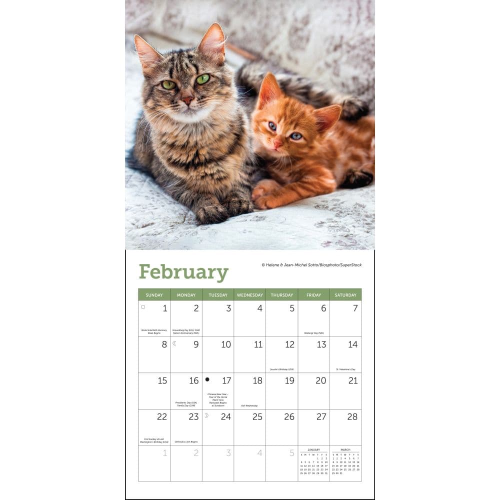 Cats 2026 Mini Wall Calendar Second Alternate image