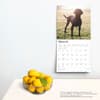 image Black Lab Retriever 2025 Wall Calendar Fourth Alternate Image width=&quot;1000&quot; height=&quot;1000&quot;