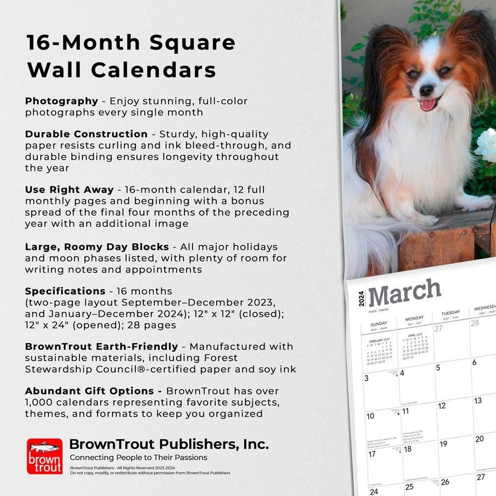 Papillons 2024 Wall Calendar Fourth Alternate Image width=&quot;1000&quot; height=&quot;1000&quot;