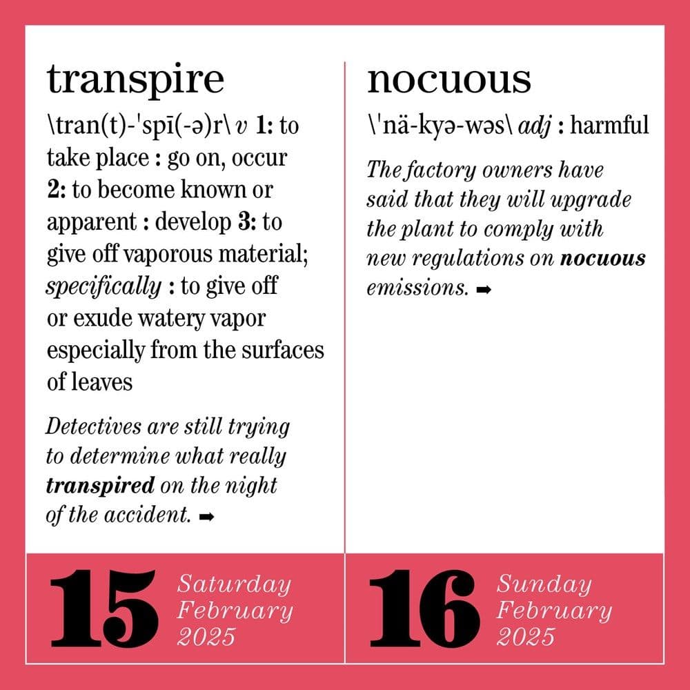 New Words 365 2025 Page-a-Day Desk Calendar Third Alternate Image