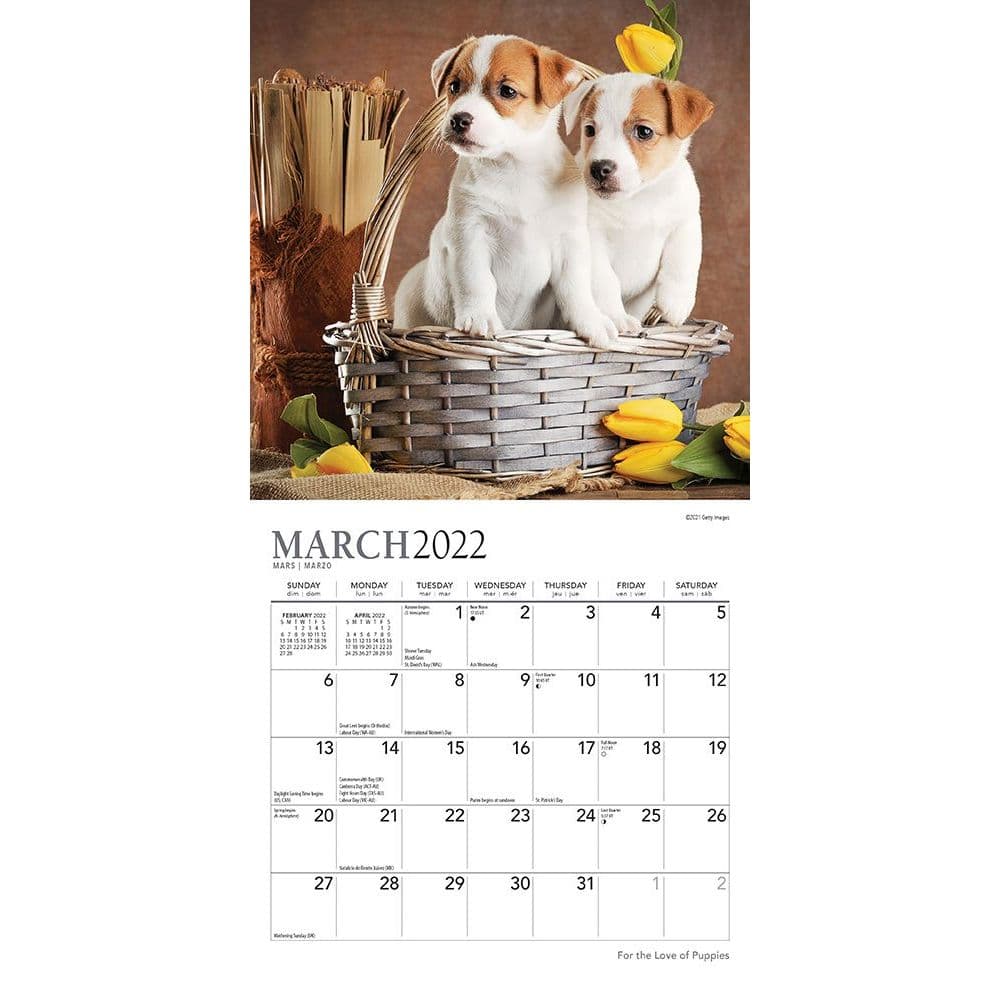 for the love of puppies 2022 mini wall calendar calendars com