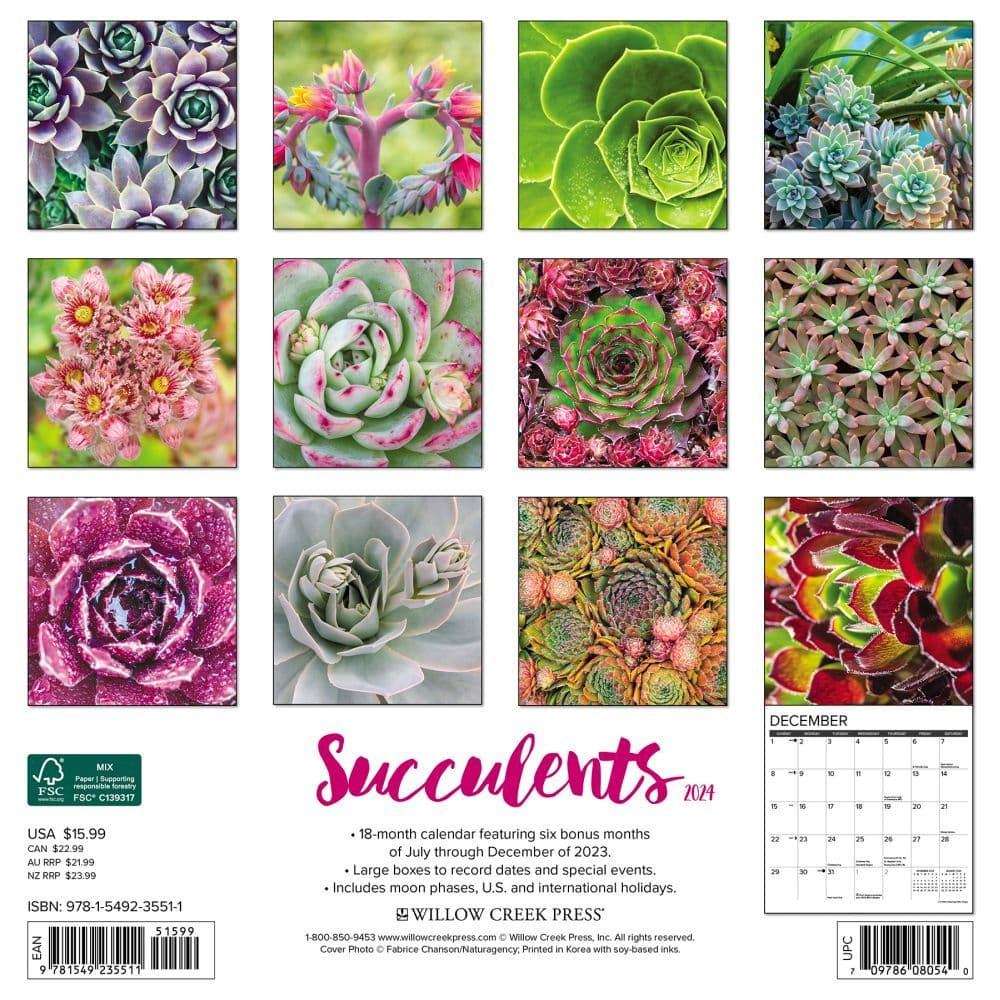 Succulents 2024 Wall Calendar