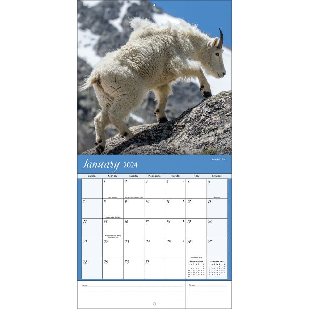 Wildlife 2024 Wall Calendar