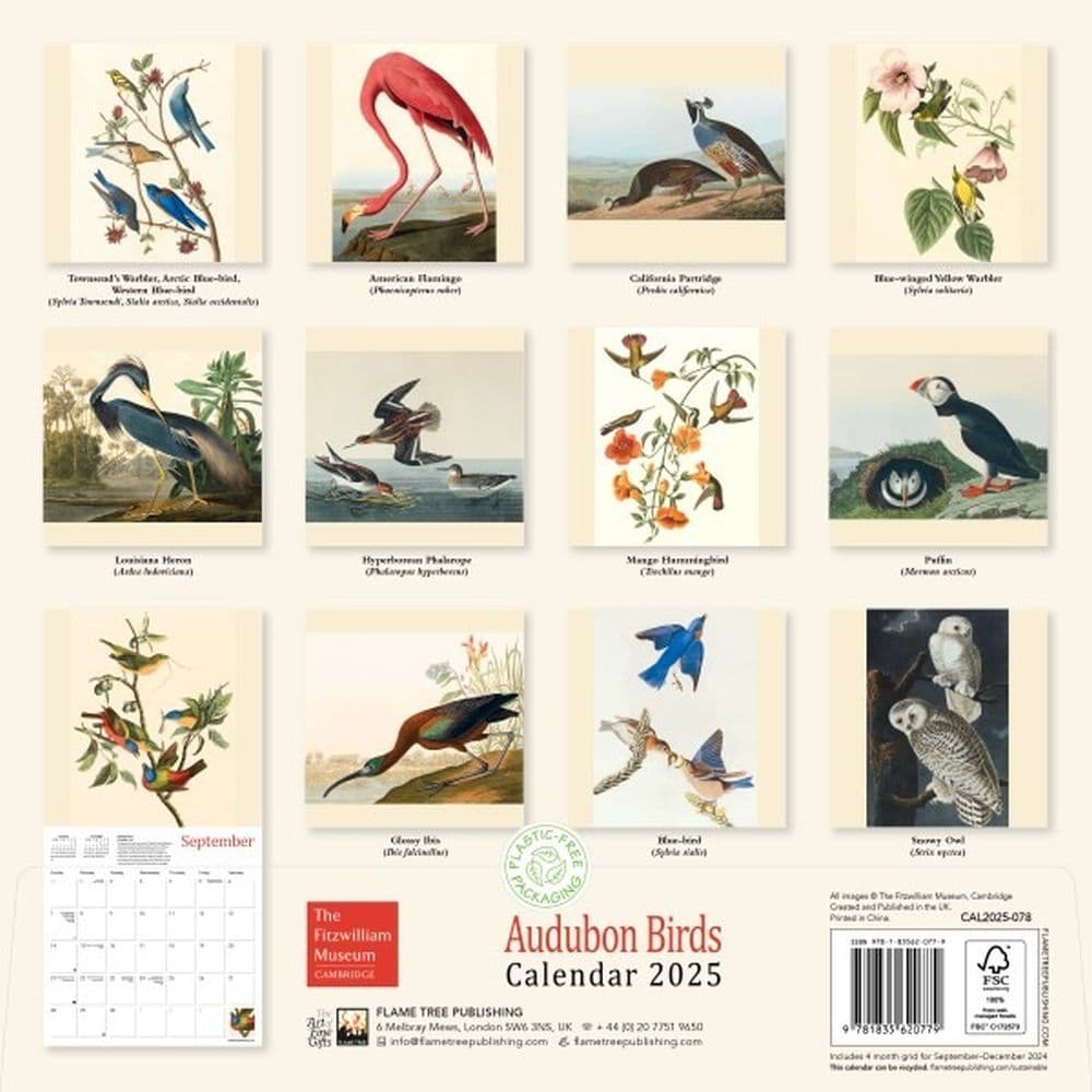 Fitzwilliam Audubon Birds 2025 Wall Calendar First Alternate Image