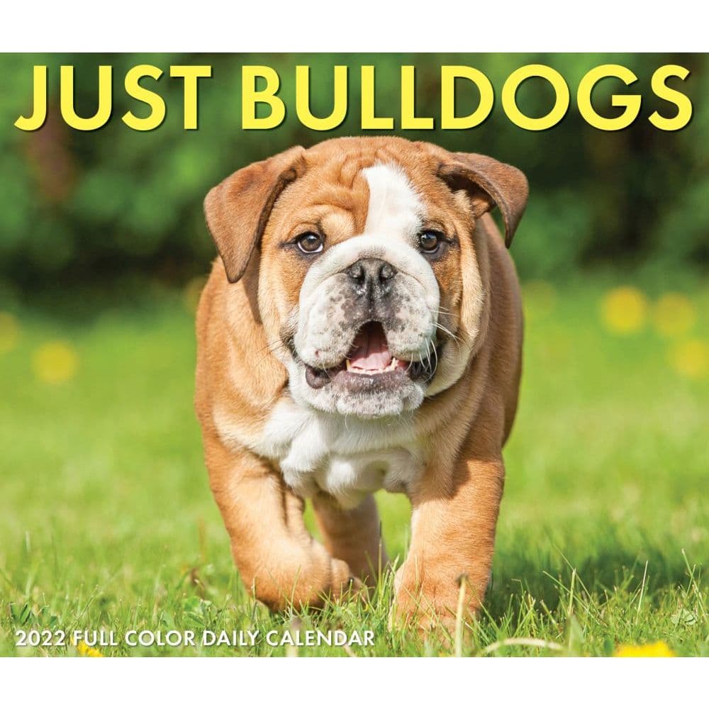 Bulldogs 2022 Calendar Dog Calendars com
