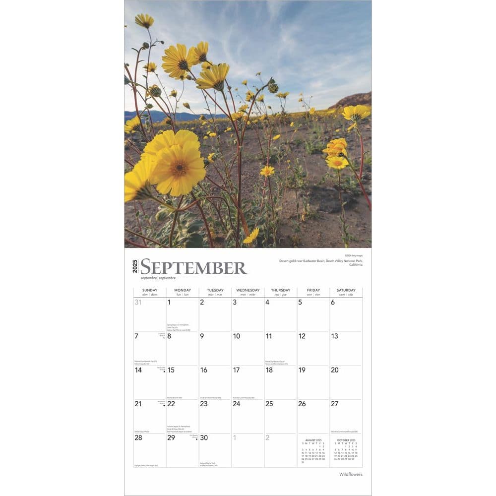 Wildflowers 2025 Wall Calendar Third Alternate Image