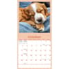 image Dog Naps 2026 Wall Calendar Fourth Alternate Image