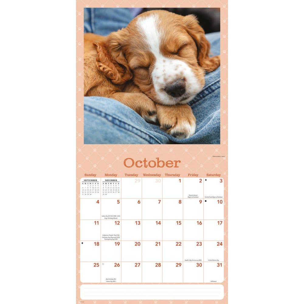Dog Naps 2026 Wall Calendar Fourth Alternate Image