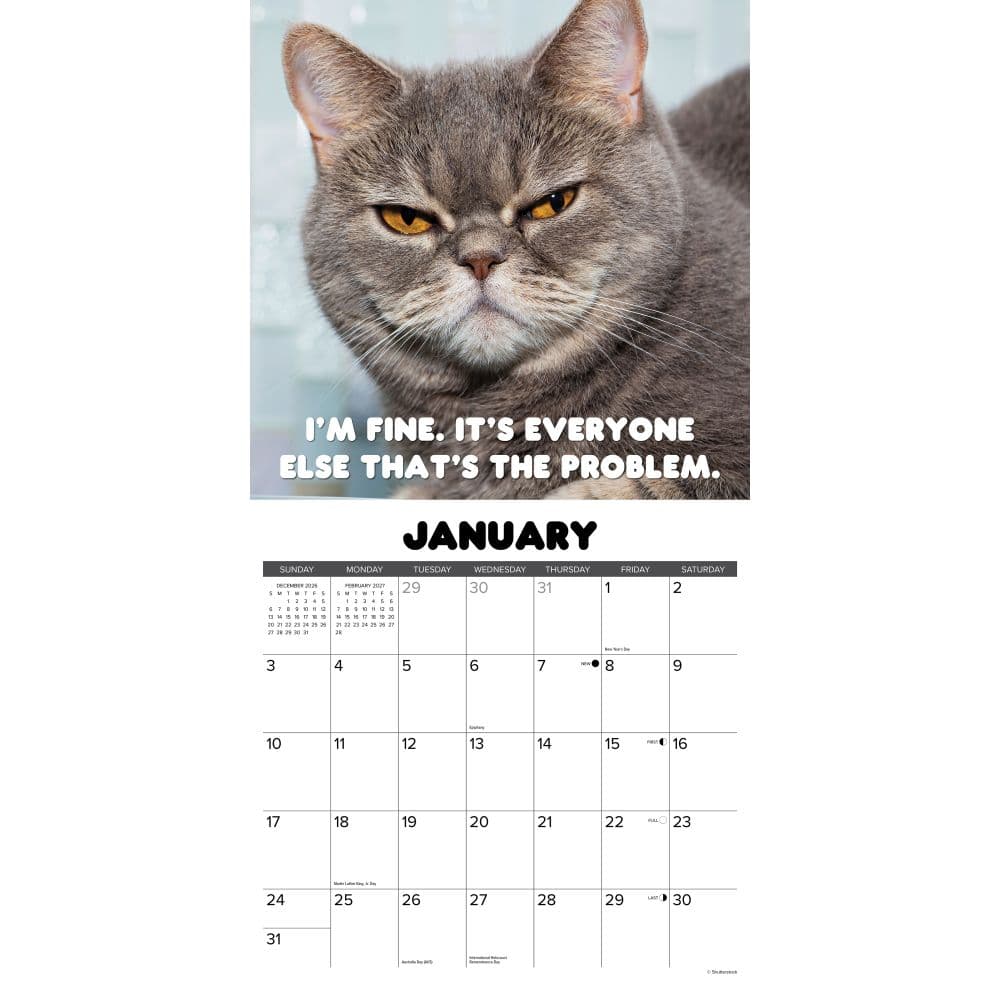 Crabby Cats 2027 Wall Calendar Second Alternate Image