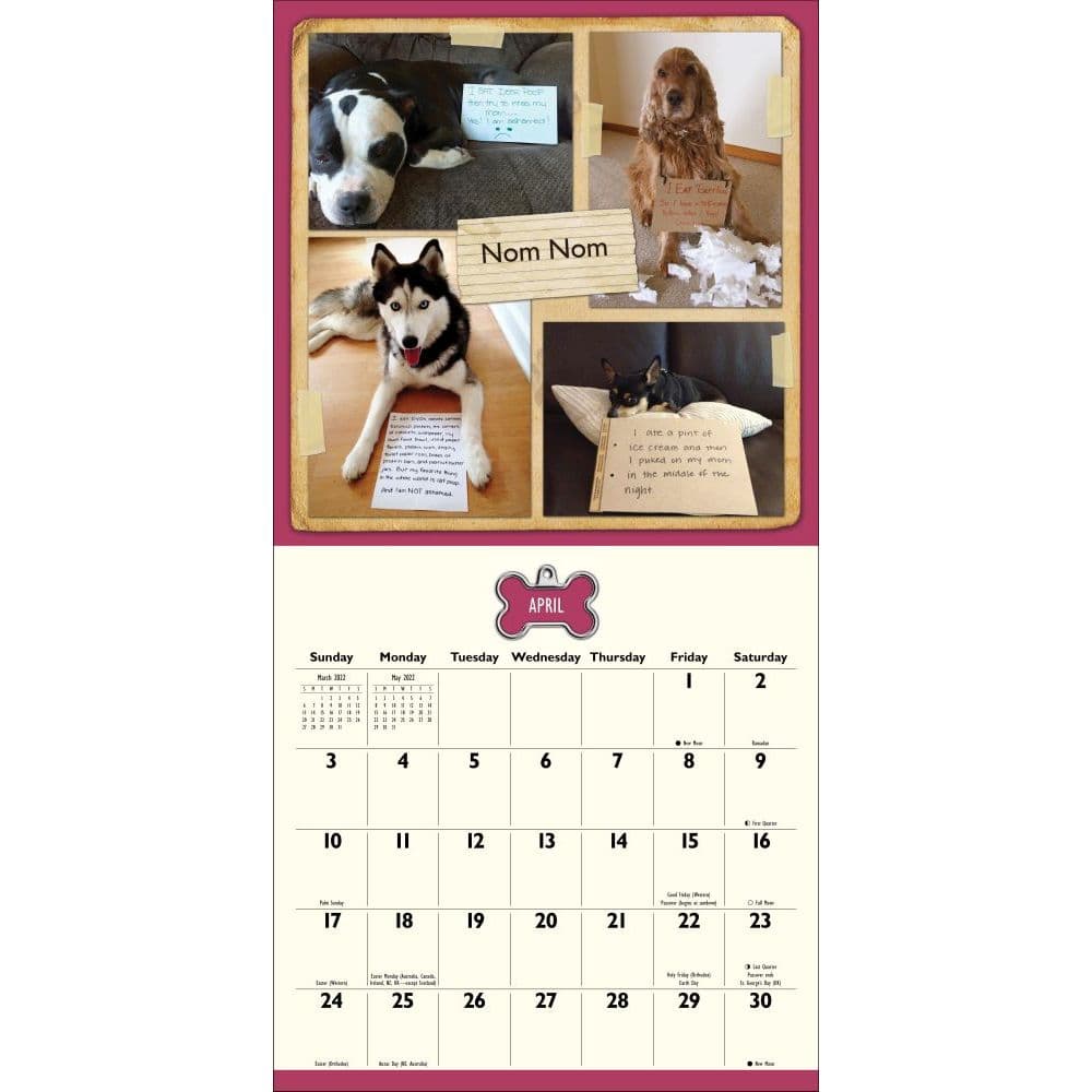 Dog Shaming 2022 Wall Calendar - Calendars.com