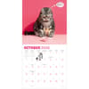 image Chonkers 2026 Wall Calendar Fifth Alternate Image