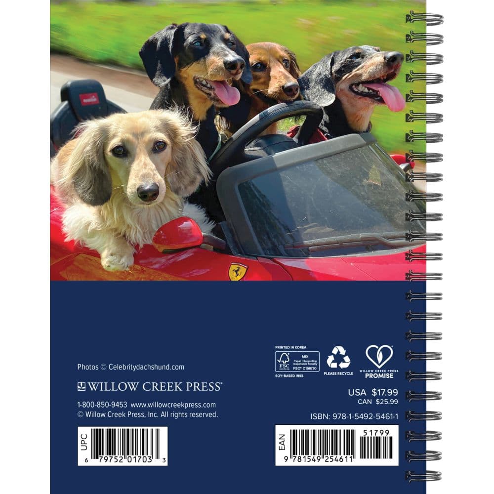 Crusoe The Celebrity Dachshund 2026 Engagement Planner First Alternate Image