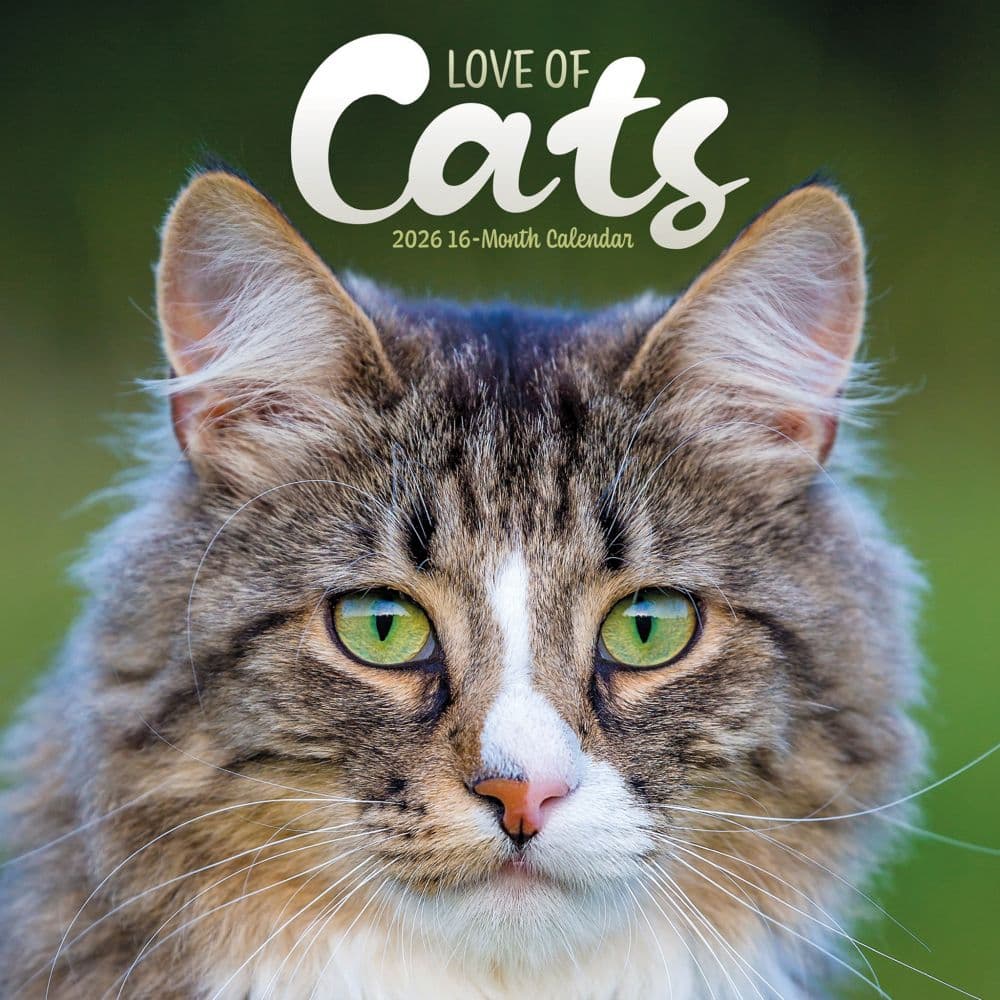 I Love Cats Plato Special Value 2026 Wall Calendar Main Image