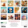 image Seashells 2025 Wall Calendar