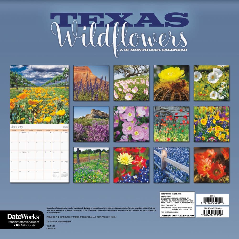 Texas Wildflowers 2024 Wall Calendar Alternate Image 2