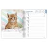 image Kittens 2025 Engagement Planner Second Alternate Image