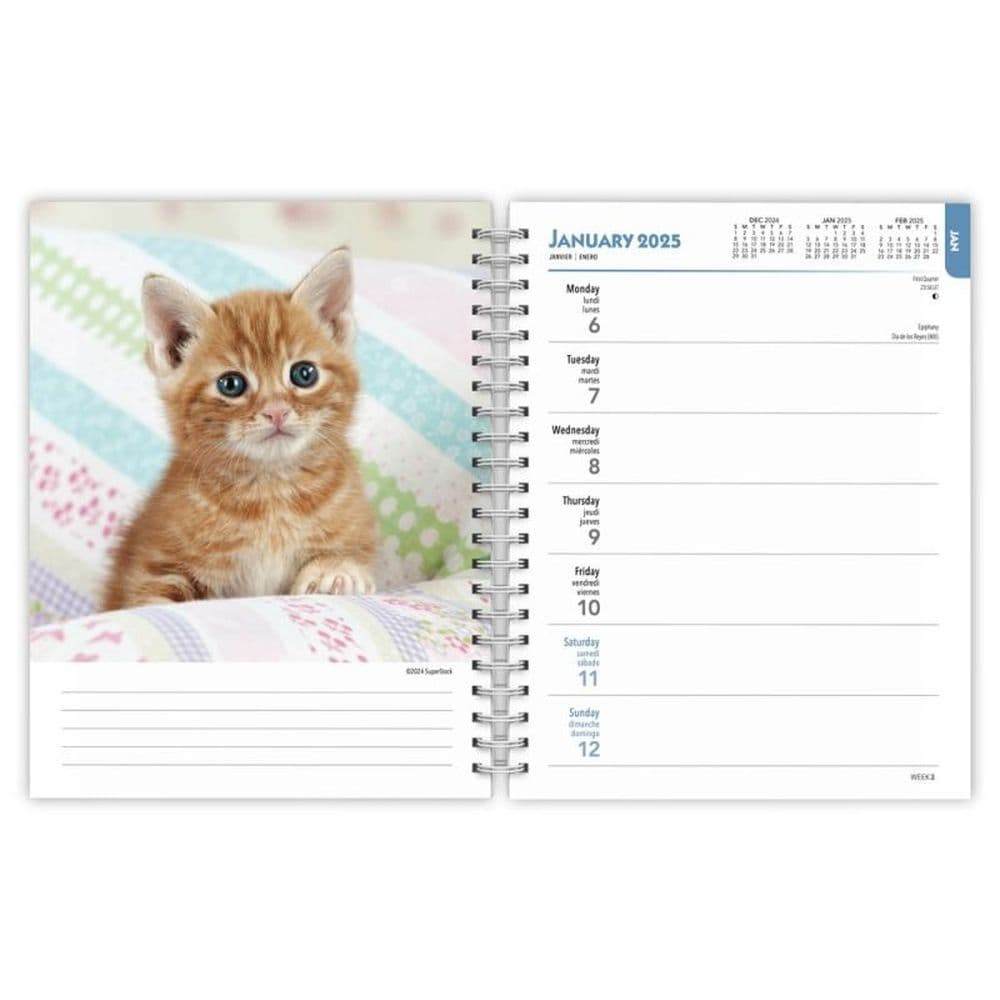 Kittens 2025 Engagement Planner Second Alternate Image