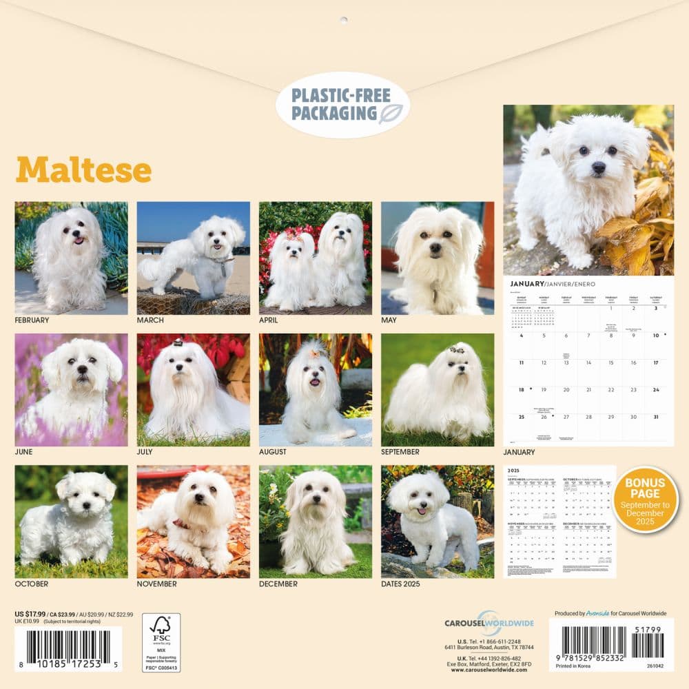 Just Maltese 2026 Wall Calendar First Alternate Image
