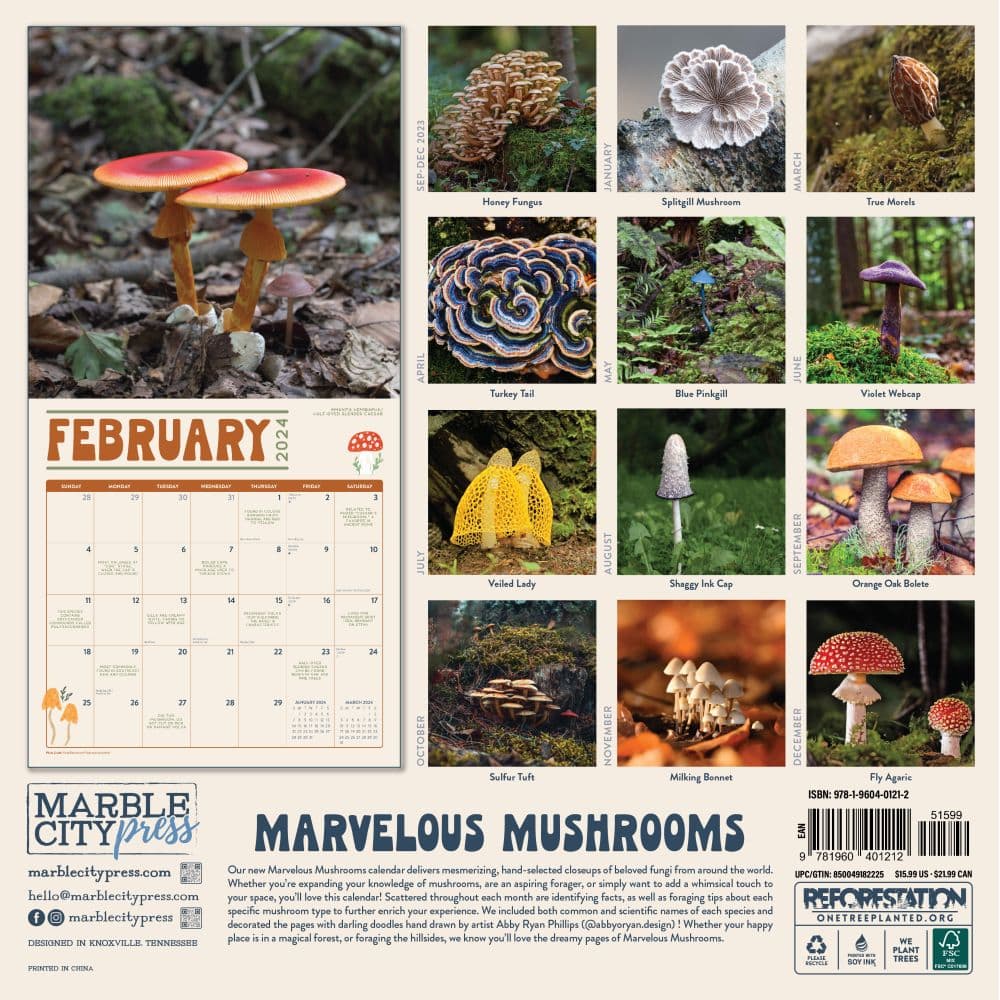 Marvelous Mushrooms 2024 Wall Calendar