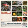 image Marvelous Mushrooms 2024 Wall Calendar First Alternate Image width=&quot;1000&quot; height=&quot;1000&quot;