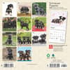 image Schnauzer Puppies 2025 Mini Wall Calendar First Alternate Image width=&quot;1000&quot; height=&quot;1000&quot;