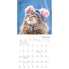 image Cats in Hats 2026 Mini Wall Calendar Second Alternate Image