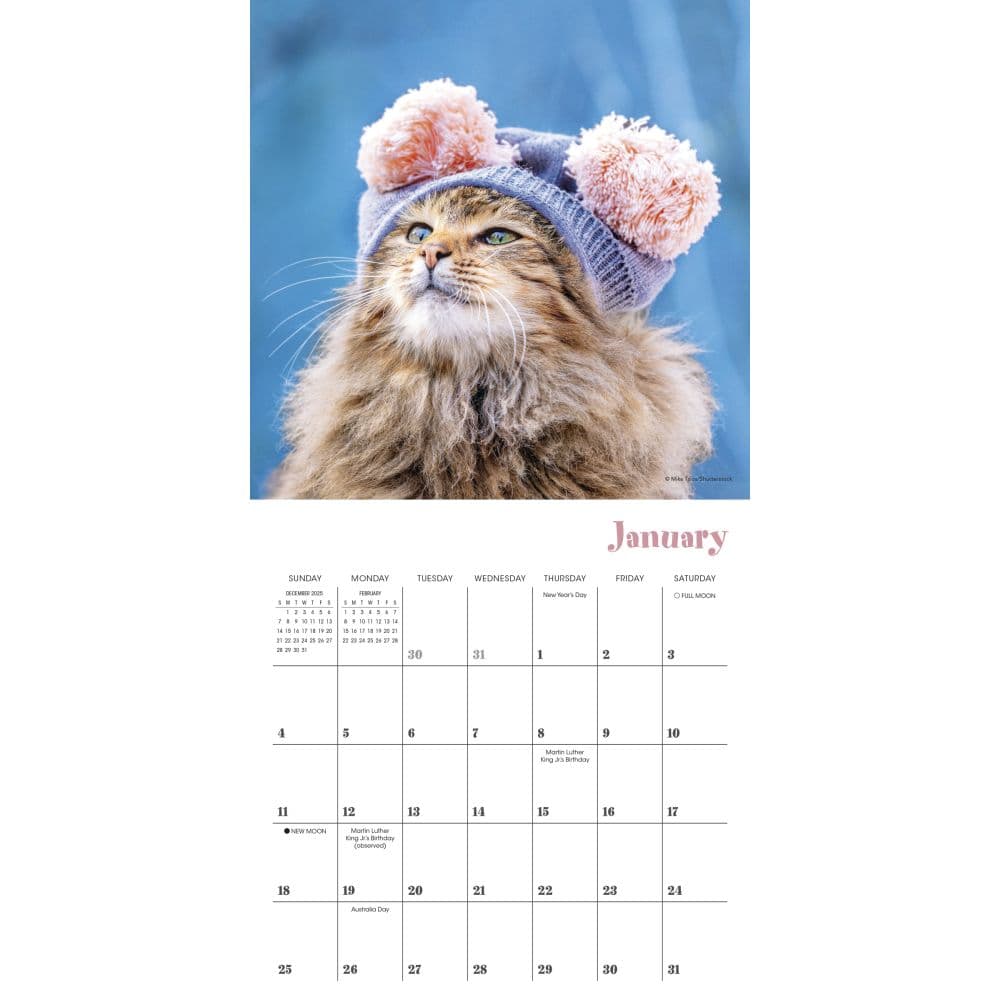 Cats in Hats 2026 Mini Wall Calendar Second Alternate Image