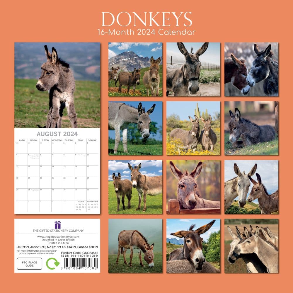 Donkeys 2024 Wall Calendar - Calendars.com