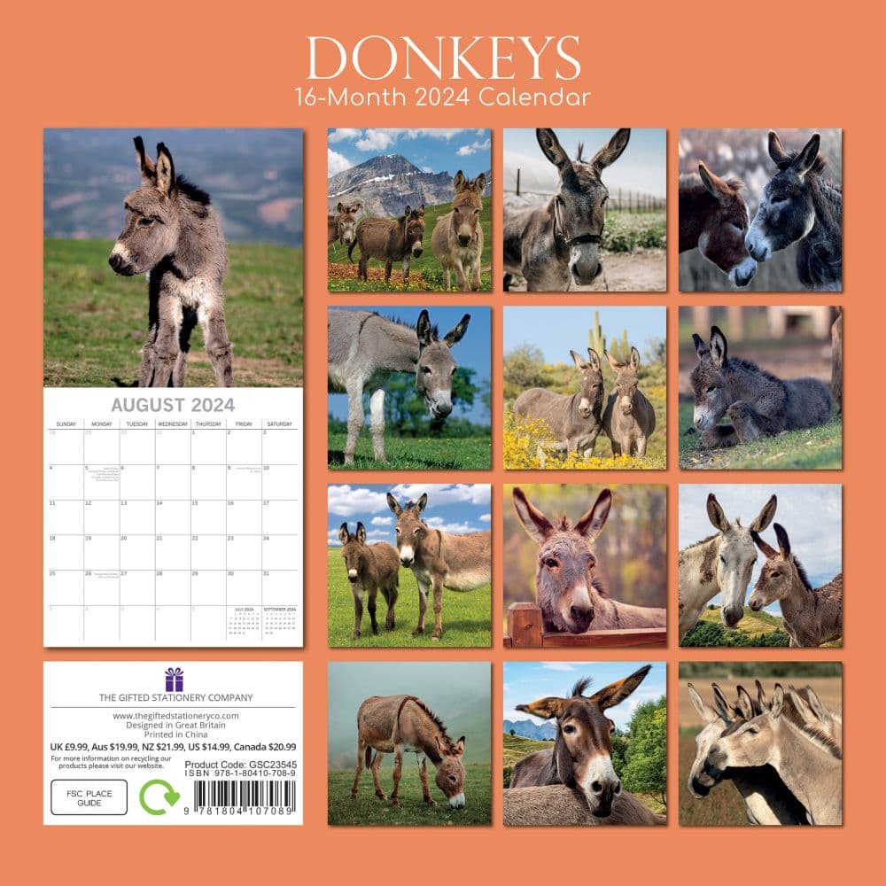 Donkeys 2024 Wall Calendar