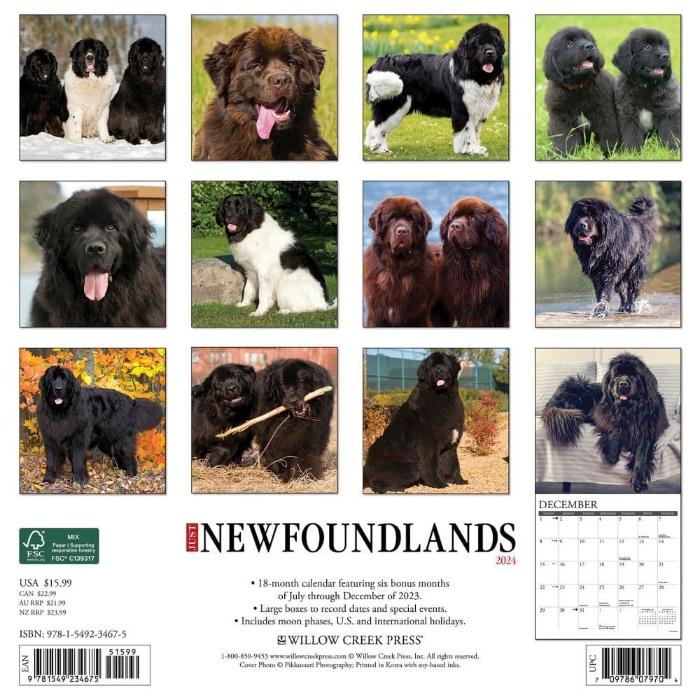 Just Newfoundlands 2024 Wall Calendar