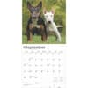 image Bull Terriers 2025 Wall Calendar Third  Alternate Image