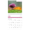 image Fascinating Fungi 2026 Wall Calendar Third Alternate Image