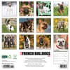 image Just French Bulldogs 2025 Wall Calendar First Alternate Image width="1000" height="1000"