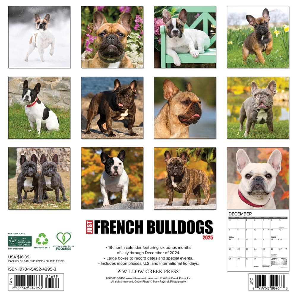 Just French Bulldogs 2025 Wall Calendar First Alternate Image width="1000" height="1000"