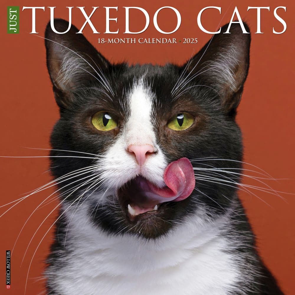 Tuxedo Cats 2025 Wall Calendar  Main Image