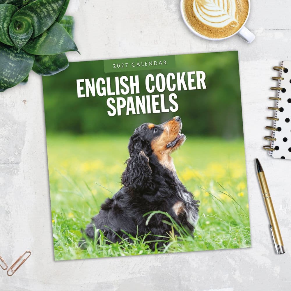 English Cocker Spaniels 2027 Wall Calendar Fourth Alternate Image