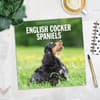 image English Cocker Spaniels 2027 Wall Calendar Fourth Alternate Image