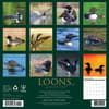 image Loons 2026 Wall Calendar First Alternate Image