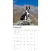 image Boston Terriers 2024 Wall Calendar Second Alternate Image width=&quot;1000&quot; height=&quot;1000&quot;
